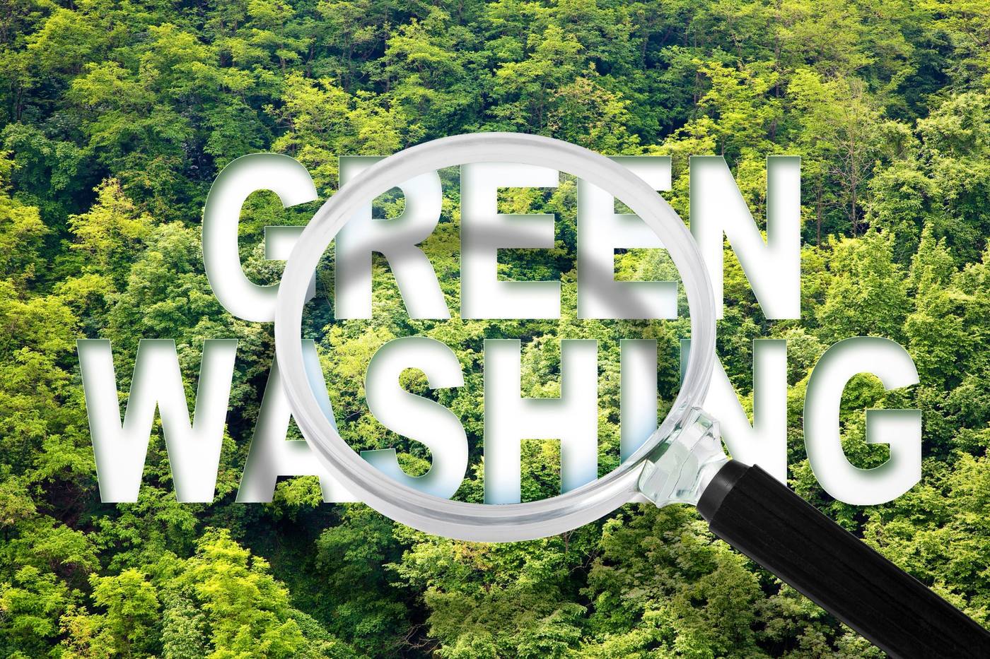 ESG vs. Greenwashing: Woran Investor:innen echte Nachhaltigkeit erkennen